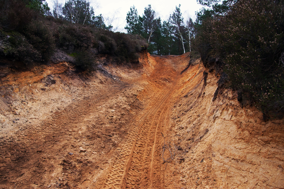 Hankley Common Road- Morgan Masters